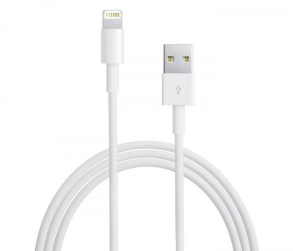 APPLE USB Lightning-kabel 1 m - MD818ZM/A image